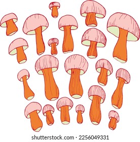 Mushrooms set simple hand drawing. Mushrooms of various sizes. Wallpaper with food.