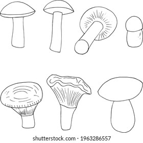 mushrooms set sketch hand drawn doodle. icon, card, poster, vector, monochrome. boletus, fly agaric, chanterelles, russula, champignon honey agarics stump nature food ingredient forest