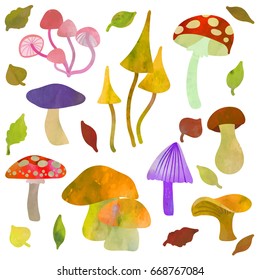 Mushrooms set. Textured illustration on white background. Watercolour imitation.