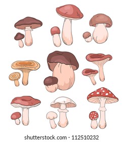 Mushrooms  set. Vector food icons