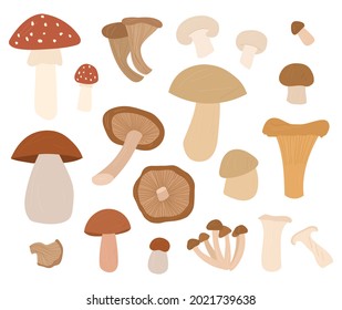 Mushrooms set Vector hand drawn cartoon illustration isolated 