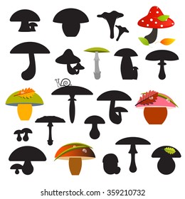 Mushrooms Set Vector Illustration Isolated on White Background