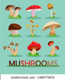 Mushrooms set.  Mushrooms vector illustration set.Mushrooms for cook food and poisonous mushrooms. Vector stock.
