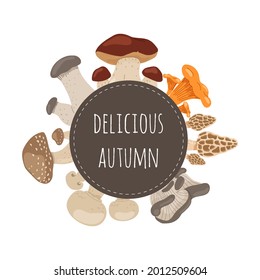 Mushrooms set,delicious autumn. Bolete, Morel,  Champignon, Chanterelle,King Trumpet, Oyster mushrooms.Vector flat illustration