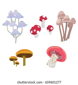 Mushrooms set.Mushrooms vector illustration set.Mushrooms for cook food and poisonous mushrooms. 