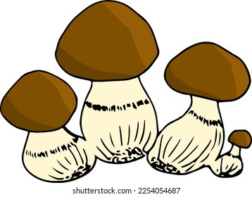 Mushrooms simple hand drawing. Vector illustration. Forest plant.