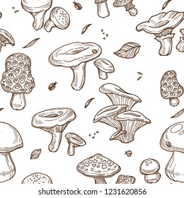 Mushrooms sketch seamless pattern. Vector edible champignon, chanterelle or morels and porcini cep mushroom, boletus and forest russula or puffball, poisonous amanita and lactarius or shiitake