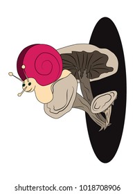 Mushrooms and snail. Vector illustration.