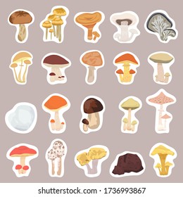 Mushrooms stickers set. Different mushrooms of the forest flat design. Vector illustration