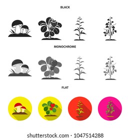 Mushrooms, strawberries, corn, cucumber.Plant set collection icons in black, flat, monochrome style vector symbol stock illustration web.