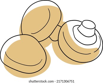 Mushrooms. Stylized mushrooms. Champignons. Food. Organic food products. Vegetable vegetarian food. Vegetables vector.