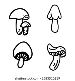 mushrooms as a symbol of natural beauty and fertility
highlighting the graceful structure of fungi as a representation of biological beauty