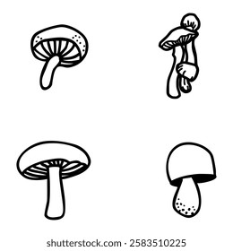 mushrooms as a symbol of simplicity and resilience
focus on the values ​​of persistence and resilience of fungi in various ecosystems