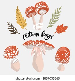 Mushrooms and toadstool set with leaves and hand lettering Autumn fungi on light grey background