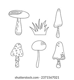 Mushrooms, toadstools set seasonal Halloween vector illustration of inedible fairy mushrooms autumn holidays simple minimalist hand drawn doodle style drawing