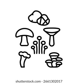 cogumelos variedade ícone de linha preta para projetos digitais e de impressão.  Ícones mínimos de limpeza para aplicativos e sites. Ícones simples modernos para UI UX e branding