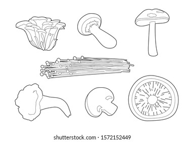 Mushrooms Various Cartoon Vector Coloring Book