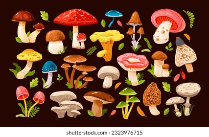 Mushrooms of various types set. Edible and poisonous mushrooms. Forest grass and leaves. Cartoon vector illustration.