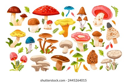 Mushrooms of various types set. Edible and poisonous mushrooms. Forest grass and leaves. Cartoon vector illustration