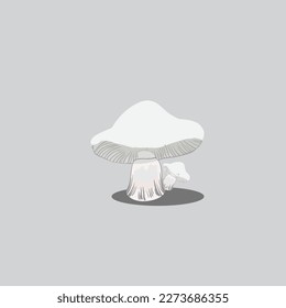  mushrooms vector art on white background.