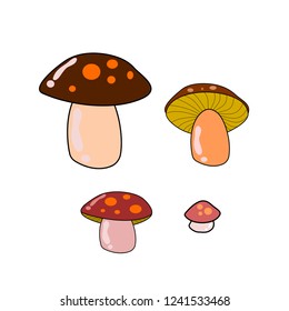 mushrooms vector cartoon illustration