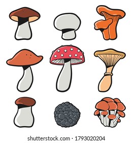 Mushrooms vector cartoon set isolated on a white background.