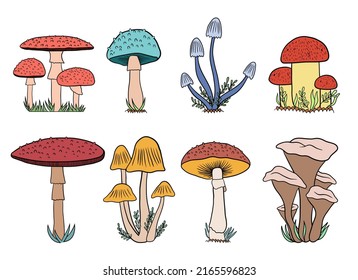 Mushrooms vector design illustration isolated on white background