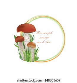 Mushrooms vector frame. Boletus background with copy space. Floral decor isolated on white background.Food illustration.  