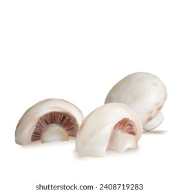 Mushrooms vector. Fresh, nutritious, tasty Mushrooms. Delicious and healthy lunch. Vector illustration. Mushrooms in mesh technique.