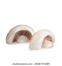 Mushrooms vector. Fresh, nutritious, tasty Mushrooms. Delicious and healthy lunch. Vector illustration. Mushrooms in mesh technique.