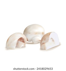 Mushrooms vector. Fresh, nutritious, tasty Mushrooms. Delicious and healthy lunch. Vector illustration. Mushrooms in mesh technique.