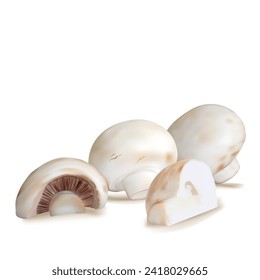 Mushrooms vector. Fresh, nutritious, tasty Mushrooms. Delicious and healthy lunch. Vector illustration. Mushrooms in mesh technique.