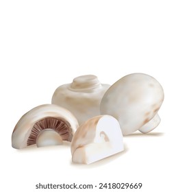 Mushrooms vector. Fresh, nutritious, tasty Mushrooms. Delicious and healthy lunch. Vector illustration. Mushrooms in mesh technique.