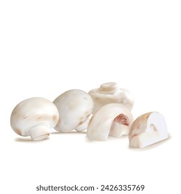 Mushrooms vector. Fresh, nutritious, tasty Mushrooms. Delicious and healthy lunch. Vector illustration. Mushrooms in mesh technique.