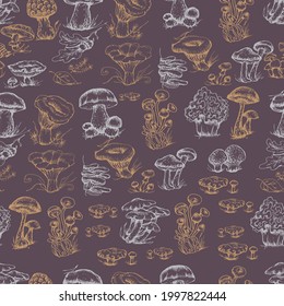 mushrooms vector graphics hand drawn. Print textile illustration background set patern seamless, coloring engraving vintage retro collection forest nature food