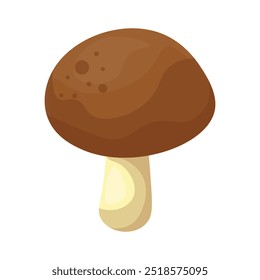 Mushrooms Vector Illustration - 04