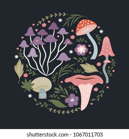 Mushrooms vector  illustration