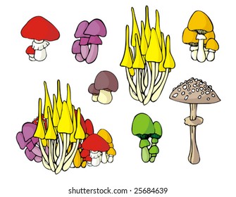 Mushrooms Vector illustration