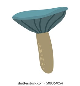 Mushrooms vector illustration