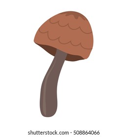 Mushrooms vector illustration