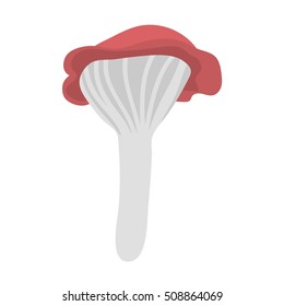 Mushrooms vector illustration
