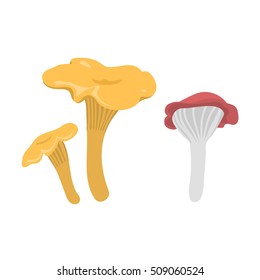 Mushrooms vector illustration