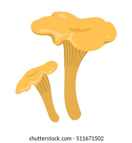 Mushrooms vector illustration