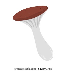 Mushrooms vector illustration