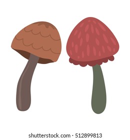 Mushrooms vector illustration