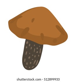 Mushrooms vector illustration
