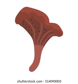Mushrooms vector illustration
