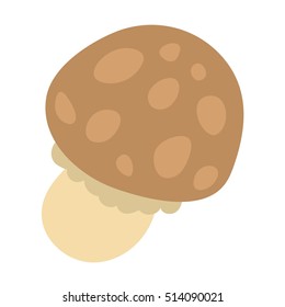 Mushrooms vector illustration