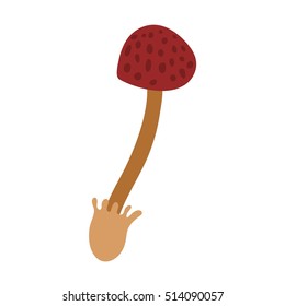 Mushrooms vector illustration