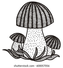 Mushrooms. Vector illustration.
